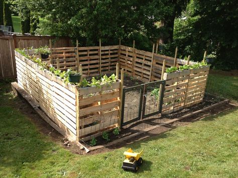 Polly Tunnel, Fenced In Garden, Pallet Fences, Window Greenhouse, Diy Garden Fence, Pallet Fence, Green Houses, Plants Growing, Arrow Head