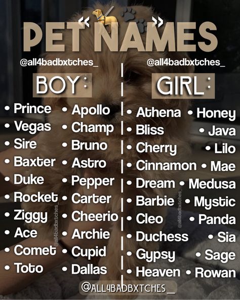 Name For Cats List, Pet Names For Animals, Pet Names Aesthetic, Aesthetic Names For Cats, Animal Name Ideas, Cute Pet Names Animals, Good Pet Names, Cute Unique Dog Names, Aesthetic Pet Names