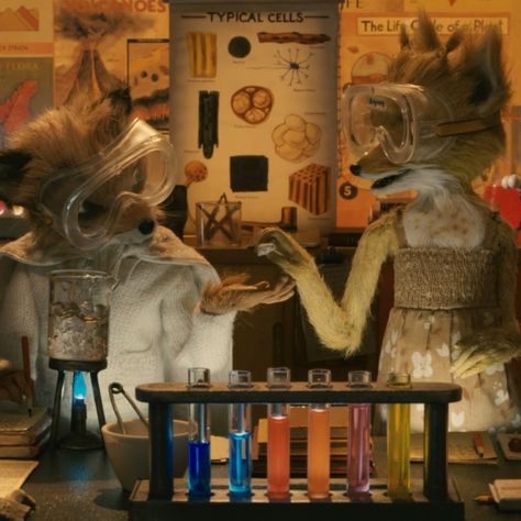 Fantastic Mr Fox Aesthetic Ash, Fantastic Mr Fox Matching Pfp, Fantastic Mr Fox Wolf, Fantastic Mr Fox Aesthetic, Mr Fox Wallpaper, Fantastic Fox, Wes Anderson Movies, Wes Anderson Films, Fantastic Mr Fox