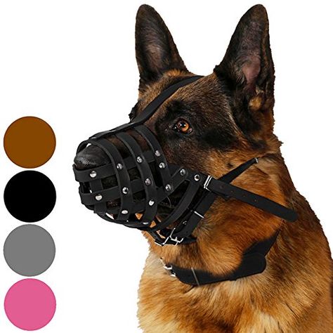 CollarDirect Dog Muzzle German Shepherd Dalmatian Doberman Setter Leather Basket Medium Large Breeds Black Brown M Black -- Want additional info? Click on the image. Leather Basket, Dog Muzzle, Handmade Dog, Doberman, Dalmatian, German Shepherd, Pet Supplies, Leather, Black