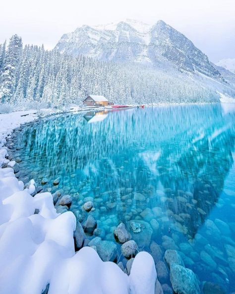 Nature is indifferent to our love, but never unfaithful. - Edward Abbey Lake Agnes Tea House, Lake Louise Canada, Lake Agnes, Canada Winter, Canada Photos, Landscaping Images, Lake Louise, Canadian Rockies, Winter Wonder