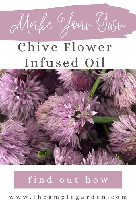 Elevate your culinary prowess with this delightful ingredient that imparts a delicate onion flavor to your favorite dishes. From delicious salads to divine appetizers, our blog post showcases creative ways to use chive flower-infused oil that will impress your guests. Discover the art of crafting your own aromatic botanical-infused oil and embark on a flavorful culinary adventure. Pin it now for endless culinary inspiration! Chive Flowers Recipe, Flower Infused Oil, Infused Oil Recipes, Chive Flowers, Chives Recipe, Chive Flower, Chive Blossom, Edible Flowers Recipes, Foraging Recipes