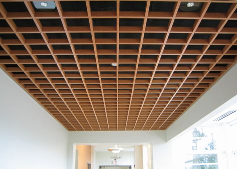 Rulon International Ceiling Suspended Ceiling Design, Waffle Ceiling, Wood Ceiling Panels, Baffle Ceiling, Auditorium Design, Building Design Plan, Central Michigan University, Ceiling Grid, Michigan University