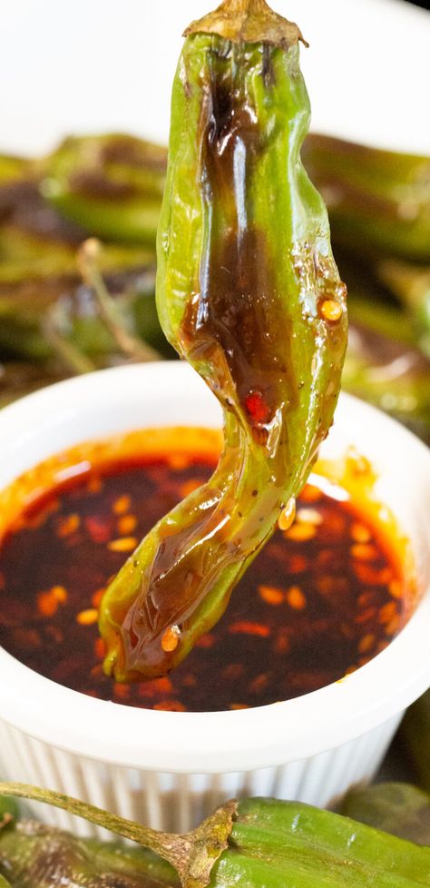 A blistered shishito pepper being dipped in a reddish brown chili crunch oil sauce. More shishito peppers are out of focus in the background. Dip For Shishito Peppers, Shishito Peppers Dipping Sauce, What To Do With Shishito Peppers, Shishito Pepper Appetizer, Recipes For Shishito Peppers, Asian Shishito Peppers, Chili Crunch Oil, Tempura Shishito Peppers, Shishito Peppers Recipe