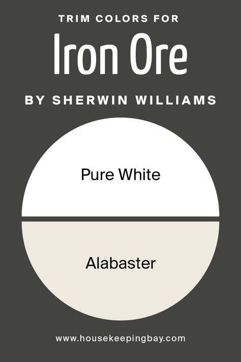 Iron Ore Coordinating Colors Exterior, Iron Ore Trim And Doors, She Twin Williams Iron Ore, Iron Ore Color Scheme, Sw Iron Ore Cabinets, Iron Ore And Alabaster, Alabaster And Iron Ore, Colors That Go With Iron Ore, Iron Ore Interior Doors