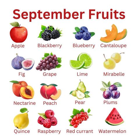 🇺🇸 Hello, September! It’s time to enjoy fruity recipes with the best seasonal fruits. Check out the full list and recipes now! https://eatstimetocook.com/fruits-and-vegetables-in-september/ 🇫🇷 Bonjour septembre ! Profitez des recettes fruitées avec les meilleurs fruits de saison. Découvrez la liste complète et les recettes dès maintenant ! https://eatstimetocook.com/fr/fruits-and-vegetables-in-september/ #FruitsDeSaison #RecettesDeSeptembre #MangerSain #CuisineDeSaison #HealthyRecipes #Se... Recipes With Cucumber, Recipes With Broccoli, Fennel And Orange Salad, Red Cabbage Salad, Leek Recipes, Fruity Recipes, Fruit Combinations, Fresh Spring Rolls, Fruit List