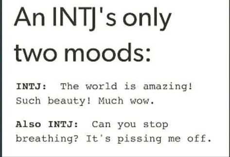 Intj Architect, Intj 5w4, Intj Type, Intj Things, Intj Problems, Intj Female, Intj Humor, Intj Women, Meyers Briggs