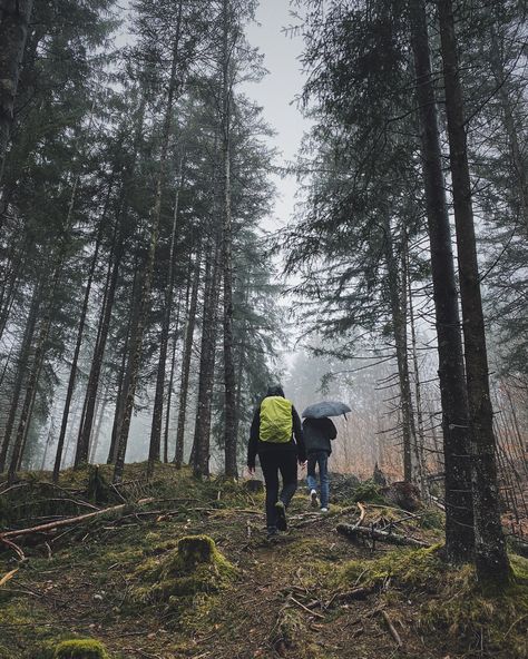 #forest #aesthetic #hiking #woodland #germany German Forest, Hiking In The Rain, Inappropriate Clothing, Day Hiking, Forest Aesthetic, Ocracoke Island, Visit Germany, Bad Weather, Hiking Gear