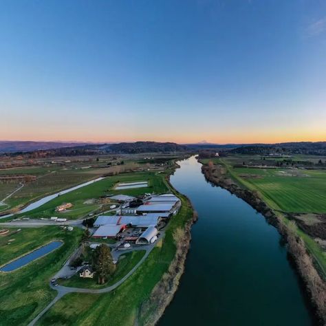 Pemberton Farm | Snohomish Wedding & Event Venue | Pemberton Farm River Wedding, Company Picnic, Farm Weddings, Cafe Lights, Wedding Event Venues, Wedding Reception Venues, Outdoor Venues, Local Wedding, County Wedding