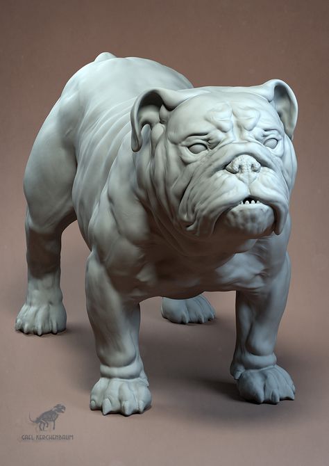 English Bulldog Study, gael kerchenbaum on ArtStation at https://www.artstation.com/artwork/2WZ8y Horse Anatomy Study, English Bulldog Funny, Bulldog Sculpture, Carved Wooden Animals, Creature 3d, Horse Anatomy, Art Chinois, Wolf Spirit Animal, Anatomy Study