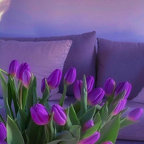 Purple Vibe, Lavender Aesthetic, Purple Themes, Purple Tulips, 背景 シンプル, Pastel Purple, Tulips Flowers, Purple Aesthetic, Love Flowers