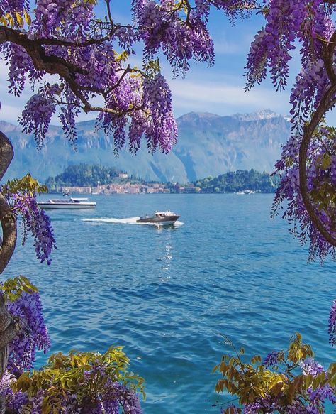 #LegendaryTravelCompany  Abercrombie & Kent UK on Instagram: “Private boat tour of Lake Como, the best way to see it. Who wishes they were here now? 🚤💦🇮🇹     #abercrombiekent #luxurytravel #lakecomo…” Lac Como, Most Instagrammable Places, Lake Como Italy, Italy Tours, Como Italy, Instagrammable Places, Beautiful Villas, Italy Vacation, Cinque Terre