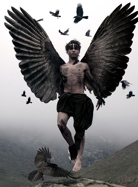 El hijo de Raven (Raven’s son) by Noli & Provoste on Flickr. ~CORVUS "NERVERMORE"~ Angelo Guerriero, Male Angels, Ange Demon, Black Wings, Male Man, Angel Pictures, Foto Art, Angels And Demons, Dark Angel