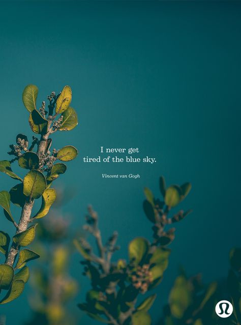 "I never get tired of the blue sky." Age Of Aquarius, The Blue Sky, Spoken Words, Summer Nature, Nature Quotes, Mellow Yellow, Hello Summer, Love Words, Mother Earth