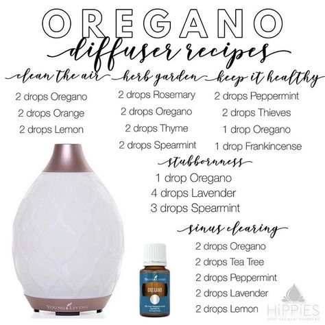 Oregano is a vital part of staying healthy this winter! Diffuse, apply topically or ingest Oregano to help fight sickness and keep your… Oregano Essential Oil Uses, Oregano Essential Oil Diffuser Blends, Diffuser Scents, Eo Blends, Oregano Essential Oil, Essential Oil Combinations, Essential Oils 101, Young Living Essential Oils Recipes, Oregano Oil