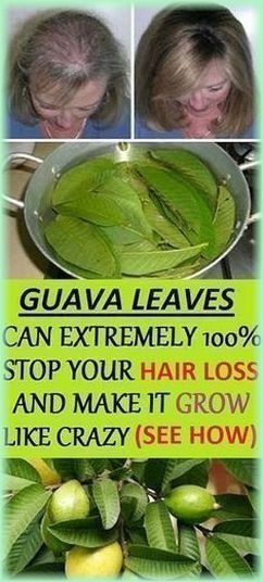 Be your own dentist! See how to remove the plaque from teeth in just 5 minutes! #heal Guava Leaves For Hair, Guava Leaf Tea, Guava Benefits, Guava Leaves, Healthy Fiber, Health Hair, Organic Lifestyle, Home Beauty Tips, Health Tips For Women