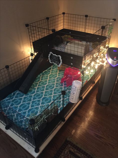 2 Story Rabbit Cage, C And C Rabbit Cage, Ginipigs Cage, C And C Guinea Pig Cage, Guinea Pig Cage Ideas Indoor, Guinea Pigs Cage Ideas, Hedgehog Cage Ideas, C And C Cage, Rabbit Cage Ideas