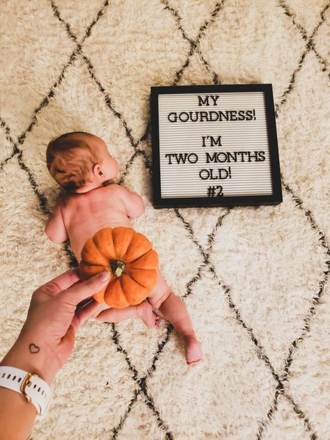 Pumpkin Monthly Milestone, October Month Milestone, 2 Month Pumpkin Pictures, 2 Month Halloween Photoshoot, 2 Month October Pictures, 3 Month October Pictures, Six Month Milestone Pictures, 2 Month Halloween Pictures, 2 Month Baby Picture Ideas September