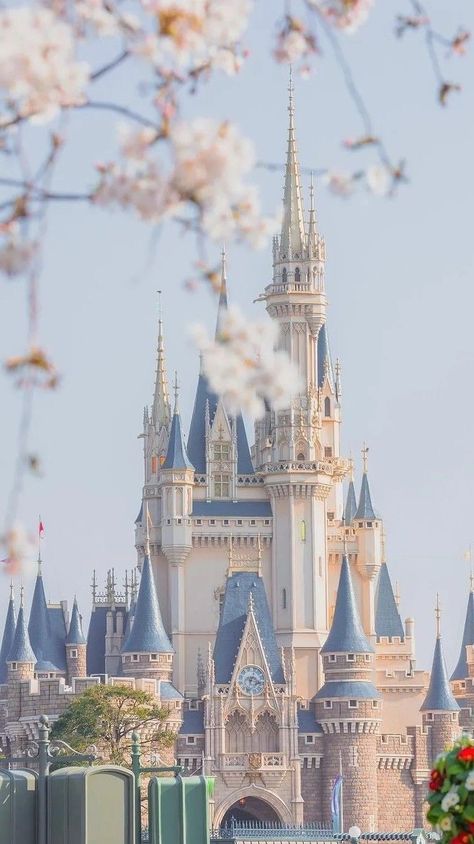 Disneyland Iphone Wallpaper, Whatsapp Avatar, Expensive Looks, Designs Wallpaper, Wallpaper Disney, Disney Phone Wallpaper, Spring Wallpaper, Haifa, Pinturas Disney