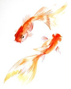 Goldfish Watercolor, Goldfish Art, Carpe Koi, Watercolor Fish, Gold Fish, 수채화 그림, Fish Painting, Arte Animal, Watercolor Inspiration