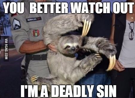 Funny Sloth Pictures, Sloth Pictures, Sloth Meme, Funny Animals With Captions, Funny Sloth, Funny Pictures With Captions, Sloths Funny, Baby Sloth, Cute Sloth