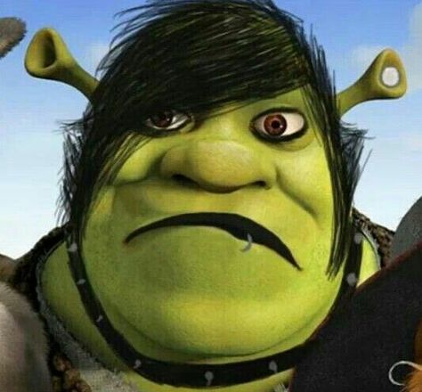 I CAN'T STOP LAUGHING. EMO SHREK Emo Disney, Emo Meme, Emo Cringe, Shrek Funny, Carl Y Ellie, Shrek Memes, Fairytale Creatures, Emo Pfp, Emo Memes