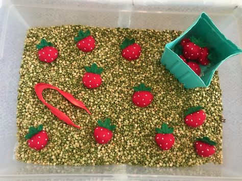 Strawberries Berry Crafts For Kids, Strawberry Themed Activities, Strawberry Sensory Play, Berry Activities Preschool, Berry Classroom Theme, Strawberry Activities For Toddlers, Strawberry Daisy Party, Strawberry Kindergarten, Strawberry Sensory Bin