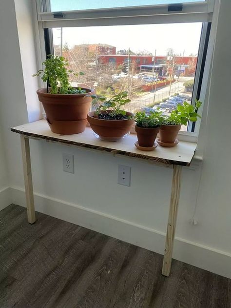 13 DIY Extensions to Maximize Windowsill Gardening Window Sill Table, Window Sill Diy, Bunkie Decor, Window Sill Plant Shelf, Diy Windowsill, Diy Window Sill, Diy Window Shelf, Window Sill Plants, Window Shelf For Plants