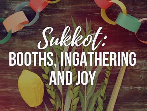 Sukkot: Booths, Ingathering and Joy | Jewish Voice Happy Feast, Thanks To God, Feast Of Tabernacles, Giving Thanks To God, Palm Branch, Yom Kippur, Giving Thanks, The Tabernacle, Sukkot