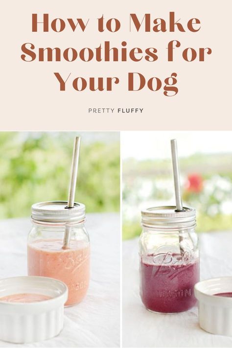 Dog Smoothie, Dog Cookie Recipes, Smoothie Recipies, Smoothies Vegan, Make Smoothies, Acid Reflux Recipes, Nutrition Motivation, Dog Magazine, How To Make Smoothies