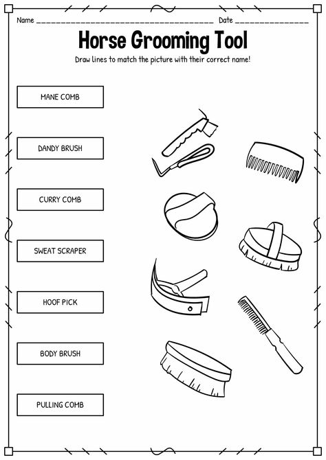 Western Riding Lesson Plans, Parts Of A Horse Printable, Pony Club Worksheets, Horse Grooming Tools, Horse Activity Sheets, Pony Club Activities, Beginner Horse Riding Lesson Plan, Horse Worksheets Free Printable, Horse Lesson Plans