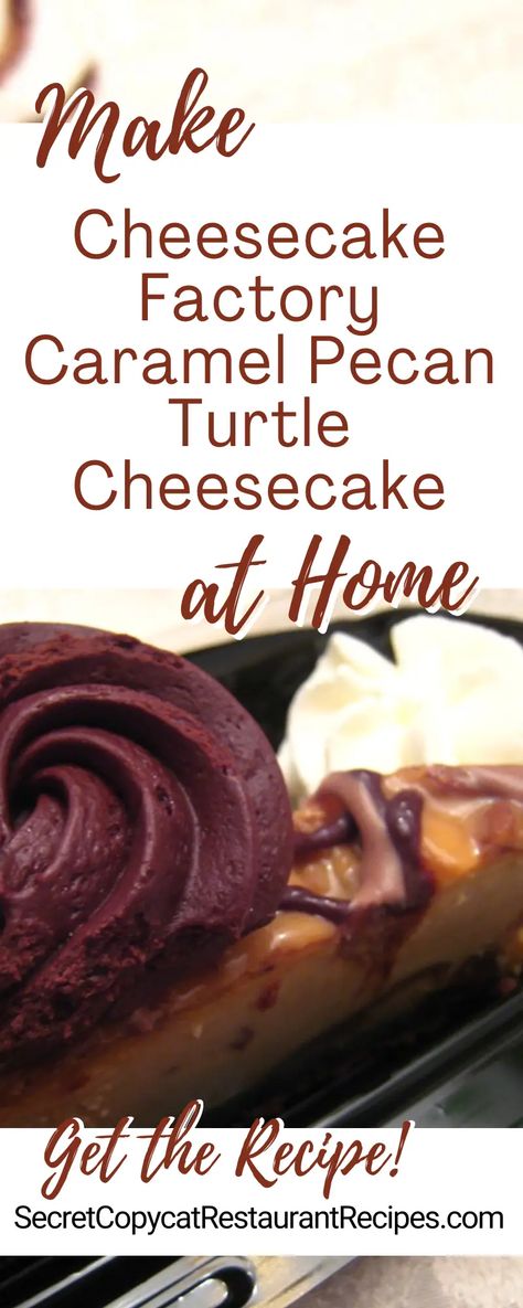 Cheesecake Factory Caramel Pecan Turtle Cheesecake Recipe - Secret Copycat Restaurant Recipes Copycat Cheesecake Factory Cheesecake Recipes, Cheesecake Factory Cheesecake Recipes, Cheesecake Factory Cheesecake, Copycat Cheesecake Factory Recipes, Cheesecake Factory Copycat Recipes, Pecan Cheesecake Recipes, Pumpkin Pecan Cheesecake, Cheescake Recipe, Turtle Cheesecake Recipes