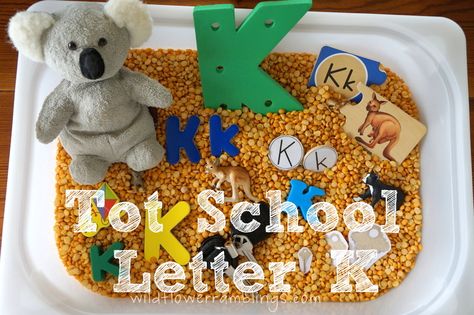 Tot School Printables Letter K is for Keys from Wildflower Ramblings #totschool K Sensory Bin, Letter K Sensory Bin, Dr Seuss Preschool, Sensory Bin Ideas, Tot Trays, Homeschool Preschool Activities, Sensory Exploration, Rice Beans, Busy Boxes