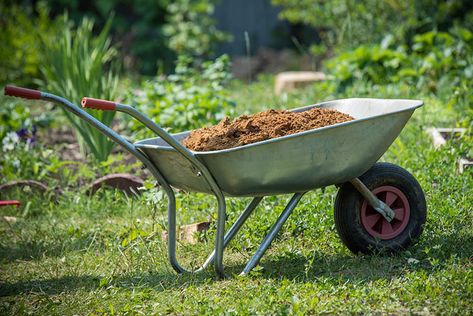 Large Garden Pots, Wheelbarrow Garden, Garden Rake, Wheelbarrows, Garden Calendar, Plants For Hanging Baskets, Plastic Plant Pots, Garden Wallpaper, Garden Planner