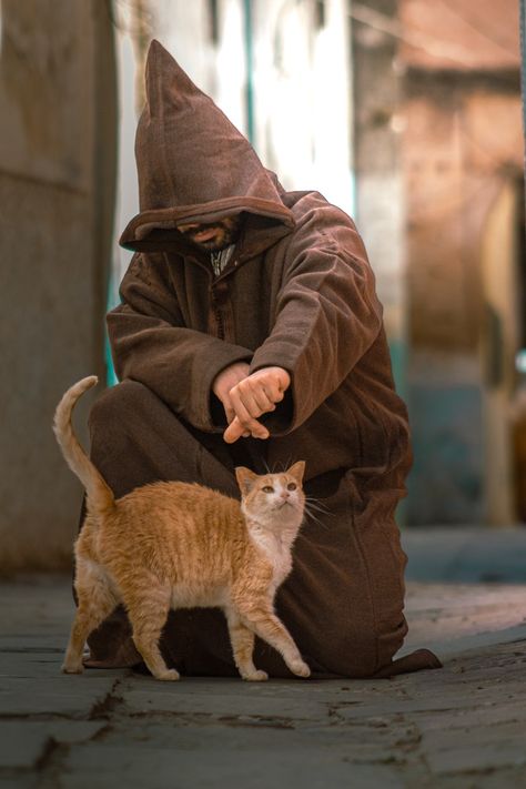 Morocco Street Photography, Moroccan Illustration, Moroccan Street, Morocco Wallpaper, Berber Morocco, Morocco Photography, Morocco Aesthetic, Men With Cats, Moroccan Culture