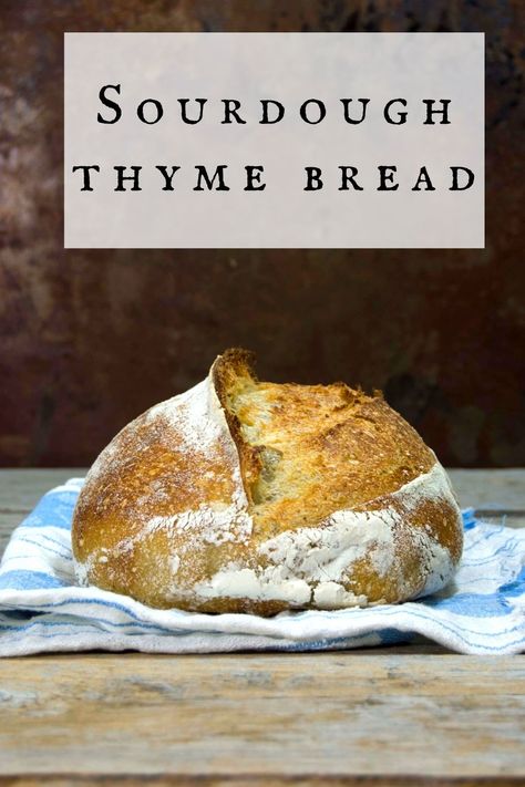 Thyme Bread, Sourdough Rolls, Sourdough Bagels, Sourdough Bread Sandwiches, Sourdough Starter Discard Recipe, Homemade Bread Easy, Artisan Bread Recipes, Sourdough Baking, Sourdough Bread Recipe