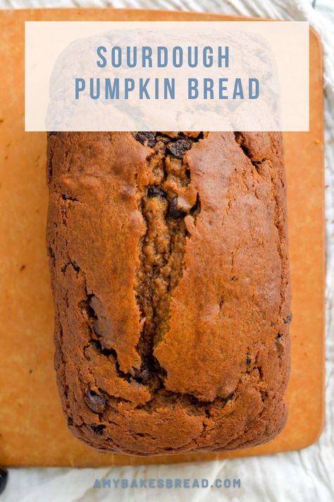 Looking for a delicious fall breakfast idea? Sourdough discard pumpkin bread is soft, sweet, and full of fall flavor. Sourdough Discard Pumpkin, Sourdough Pumpkin Bread, Pumpkin Bread Mix, Pumpkin Sourdough, Sourdough Pumpkin, Sourdough Cinnamon Rolls, Bread Maker Recipes, Favorite Breakfast Recipes, Homemade Pumpkin Puree