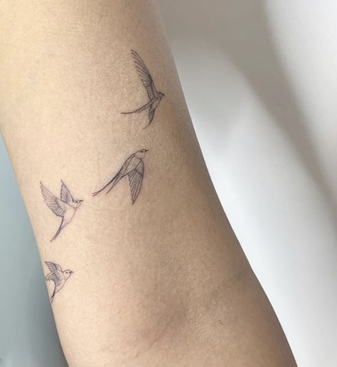 Bird Drawings Tattoo, Bird Tattoo Dainty, Wrist Tattoos For Women Birds, Arm Tattoos For Women Birds, Inner Bicep Small Tattoo, Birds Tattoo On Arm, Pretty Bird Tattoo, Delicate Bird Tattoos For Women, Dainty Bird Tattoos For Women