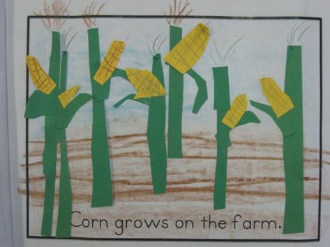 Farm Kindergarten Unit - Where Does Our Food Come From? Preschool Farm Crops Activity, Farm For Preschoolers, Farms Kindergarten, Farm Food Crafts Preschool, Ckla Kindergarten Farms, Where Does Food Come From Activities, Farm Crafts For Kindergarten, Farming Activities For Preschool, Prek Farm Activities