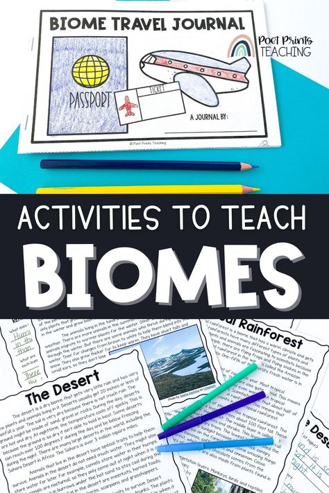 There is so much to know about the biomes of the world! Before you plan your biomes unit, take a peek at the best whole-class games, videos, and hands-on activities that will make your biomes lesson plan fun and educational! These biomes lessons for kids are perfect for 3rd-6th grade! Biome Stem Activity, Grade 6 Biodiversity Activities, Biome Project Ideas, Biomes Activities, Ecosystem Activities, Homeschool Themes, Biomes Project, Ecosystems Projects, Science Lessons Elementary