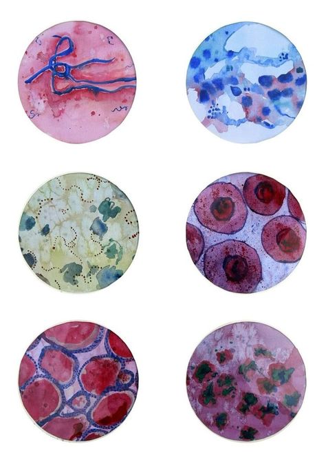 Microbiology Art, Biology Microscope, Biology Science, Labs Art, Biology Labs, Growth And Decay, Petri Dishes, Biology Art, Microscopic Images