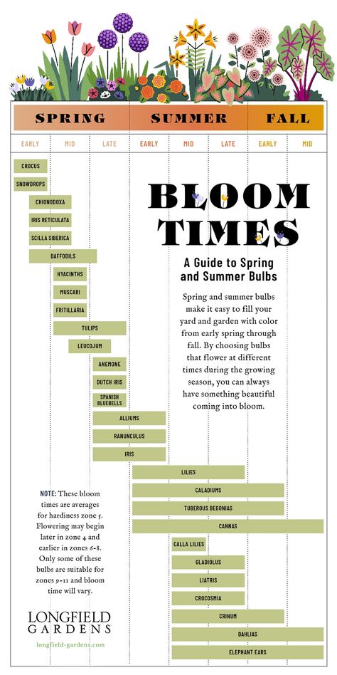 Flower Garden Plans, House Florida, Cut Flower Farm, Summer Bulbs, Time Planning, Garden Bulbs, Cut Flower Garden, Have Inspiration, Garden Yard Ideas