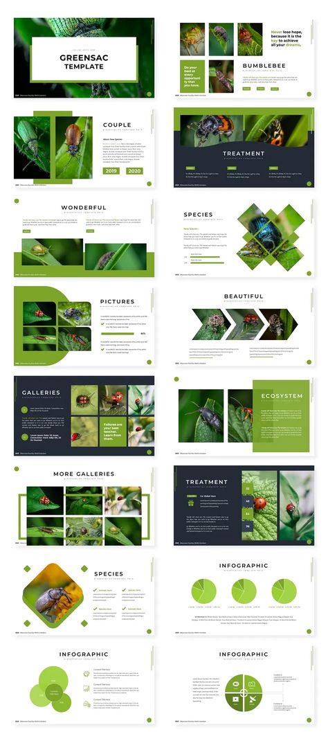 Eco Keynote Template Sustainability Brochure, Eco Infographic, Agenda Slide, Canva Presentation Template, Green Template, Canva Presentation, Call To Actions, Mẫu Power Point, Keynote Design