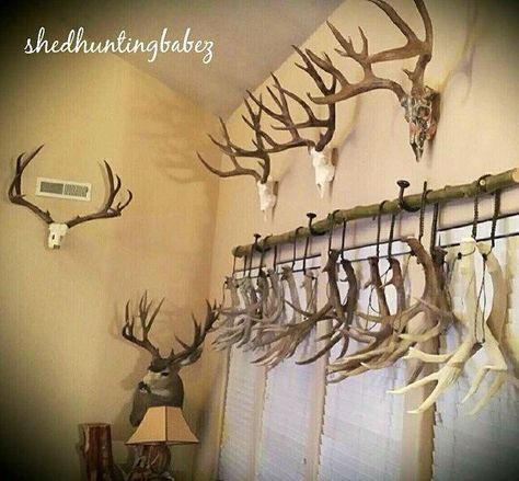 Antler decor. Deer Antler Ideas, Antler Display, Decorating With Antlers, Deer Hunting Decor, Deer Antler Chandelier, Antler Projects, Deer Antler Crafts, Antler Ideas, Deer Heads