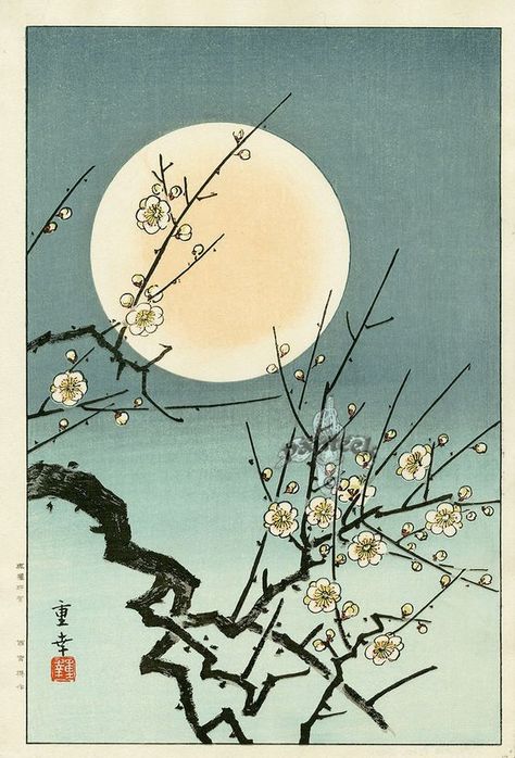 MOON BLOSSOM BY KAWASE HASUI. More know for his landscapes this simple work is also absolutly beautiful. He is a master at woodblock art!! #japanese #art #wood #block www.richard-neuman-artist.com Poster Grafico, Kawase Hasui, Japanese Woodcut, Japanese Artwork, Art Asiatique, Japanese Illustration, Japon Illustration, Art Japonais, Japanese Woodblock Printing