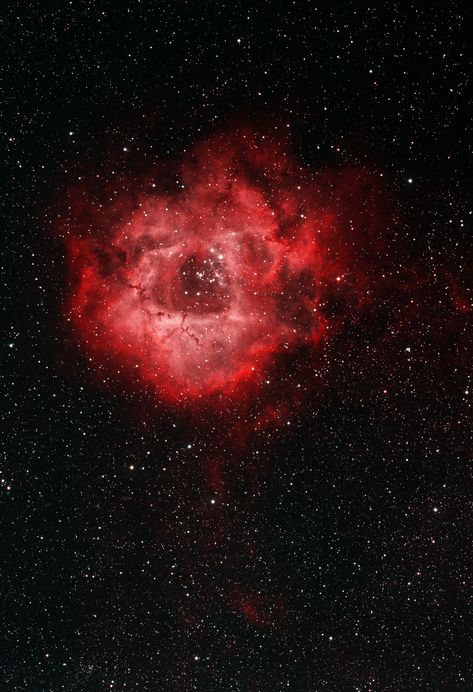 Cosmic Rose, Red Nebula, Rosette Nebula, Red Galaxy, Nebula Wallpaper, Red Space, Astronomy Pictures, Color Mood, Space Explorer