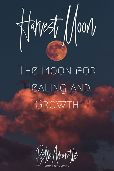 Full Moon Names, Moon Activities, Lunar Witch, Moon Names, Moon Astrology, Moon Reading, New Moon Rituals, Moon Party, Full Moon Ritual