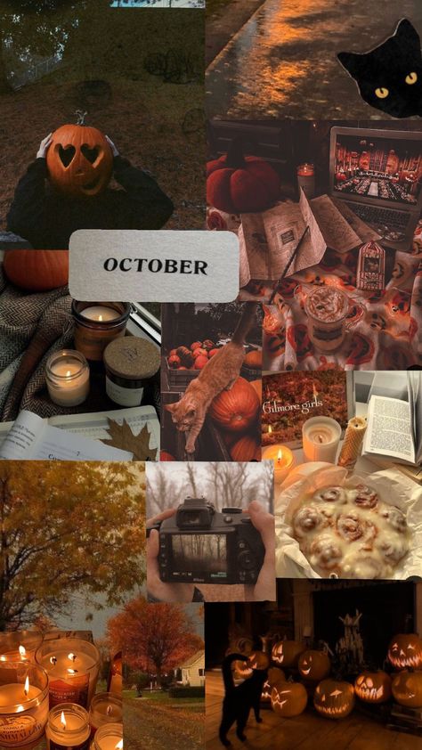 #months aesthetics #october #✨🫶🍁 October Aethestic, October Aesthetic Pictures, October Birthday Aesthetic, October Astethic, October Aesthetics, October Core, Autumn Motivation, October Goals, October Moodboard