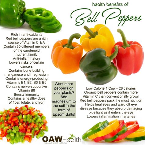 Bell Pepper Nutrition Facts, Bell Pepper Benefits Health, Pepitas Benefits, Benefits Of Bell Peppers, Bell Pepper Benefits, Pepper Benefits, Beauty Enhancement, Healthy Eating Meal Plan, Healthy Journey