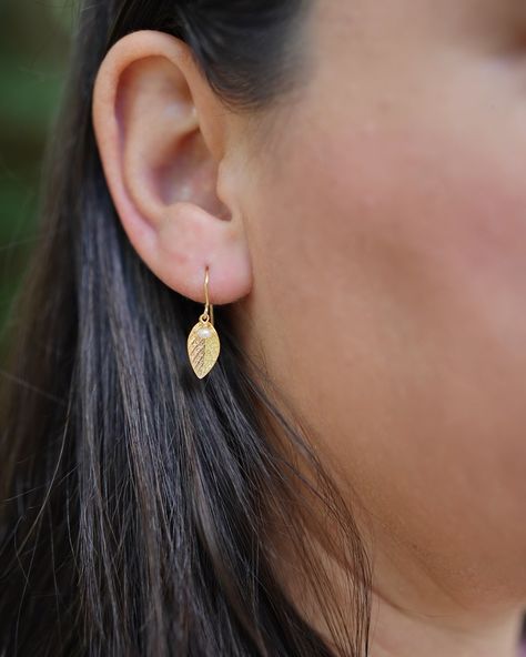 Delicate leaf-shaped earrings with a central pearl – nature’s elegance meets timeless sophistication🍃💎 Leaf Earrings Gold, Gold Leaf Earrings, Bridal Earrings Pearl, Cute Gift Boxes, Earrings Pearl, Fabulous Jewelry, Leaf Earrings, Bridal Earrings, Earrings Gold